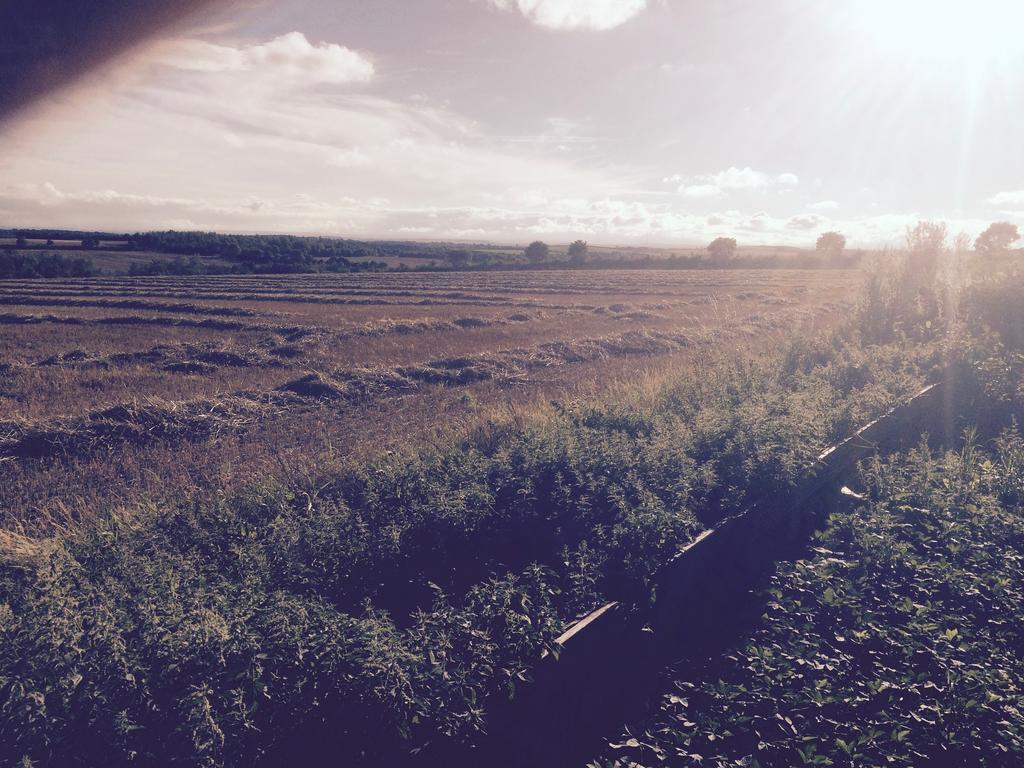 Rolandscroft Guest House Pontefract Esterno foto